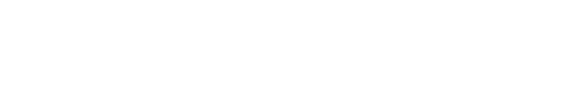 Emergency MGT Logo